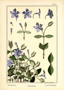 نكة بواسطة مارسيل جودين